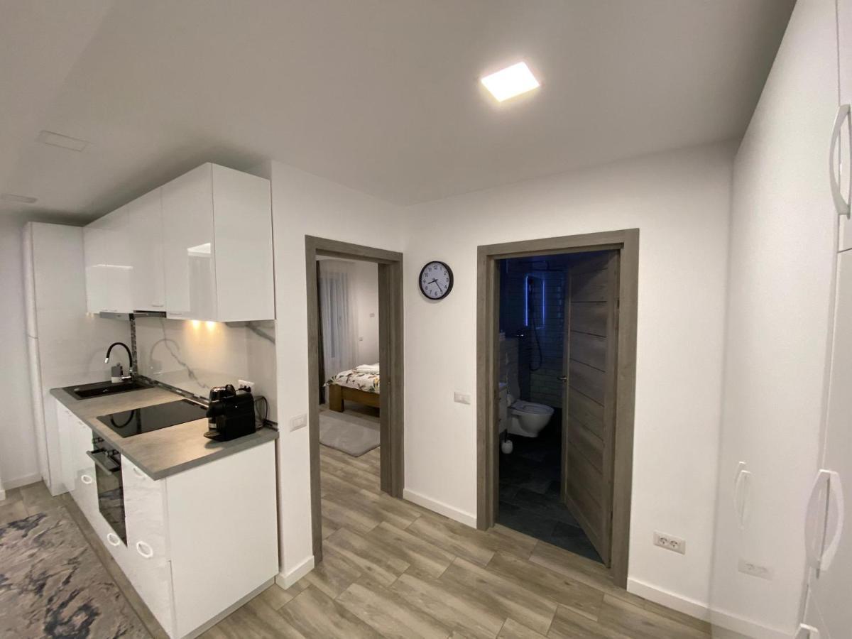 Lora Studio Apartamento Suceava Exterior foto